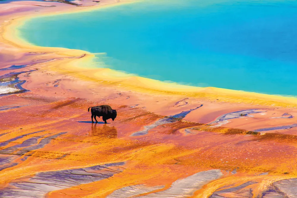 Yellowstone National Park.
© iStockphoto / Megan Brady