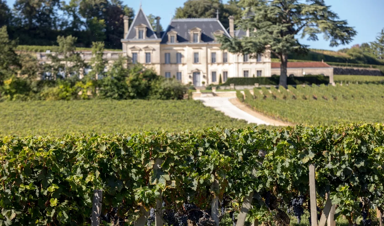 Le Château Fonplegade et son vignoble © iStock / wjarek