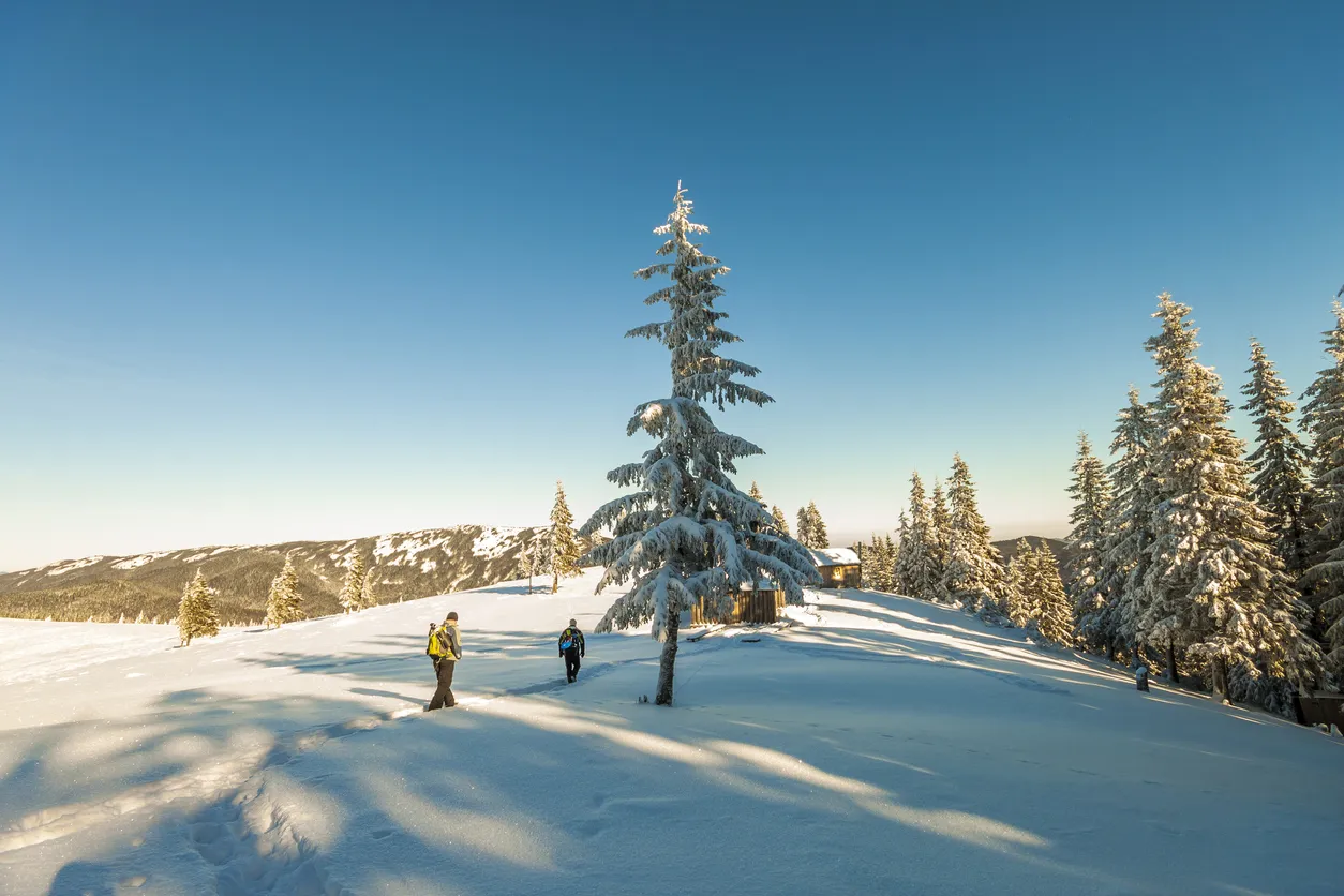 Randonnée d'hiver  ©  iStock / Bilanol