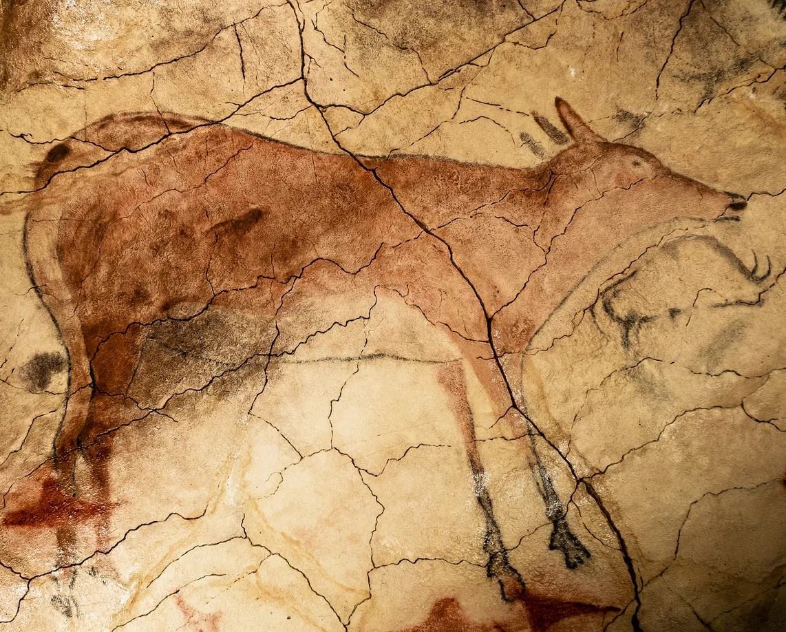 Le grand cerf de la grotte d'Altamira qui mesure plus de deux mètres de long. © iStock / jesusdefuensanta