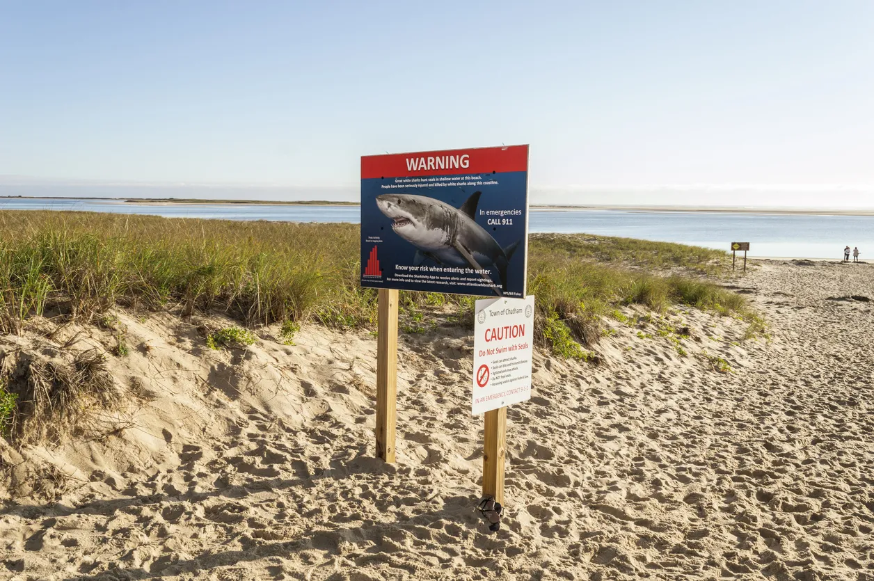 Panneau d'avertissement de requins à Cape Cod © iStock / danlogan