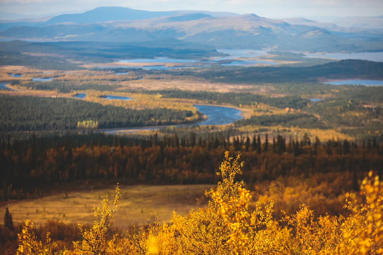 Paysage près de Kiruna en Laponie suédoise © iStock / Nikolay Tsuguliev