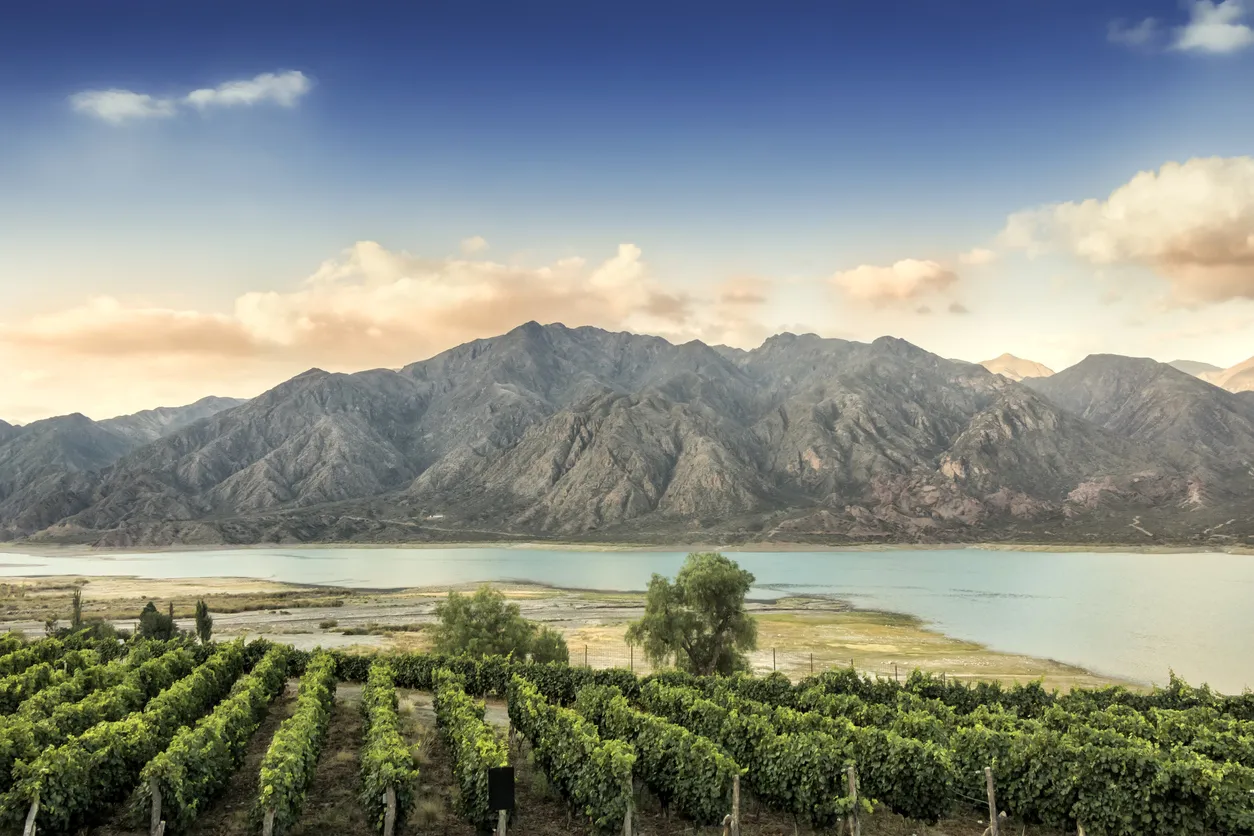 Vignoble dans la province de Mendoza, Argentine - photo © iStock-Edsel Querini 
