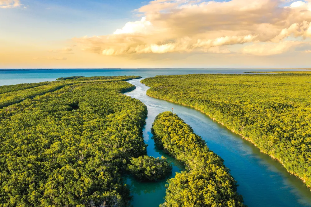 Everglades National Park.
Crédit:	© iStockphoto.com/SimonSkafar