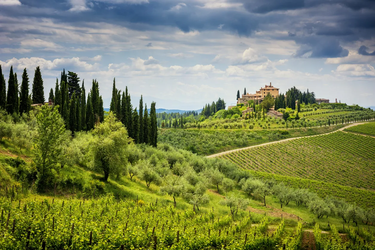 Les collines du Chianti avec vignobles et cyprès. La Toscane entre Sienne et Florence. Italie ©  iStock / Massimo Santi