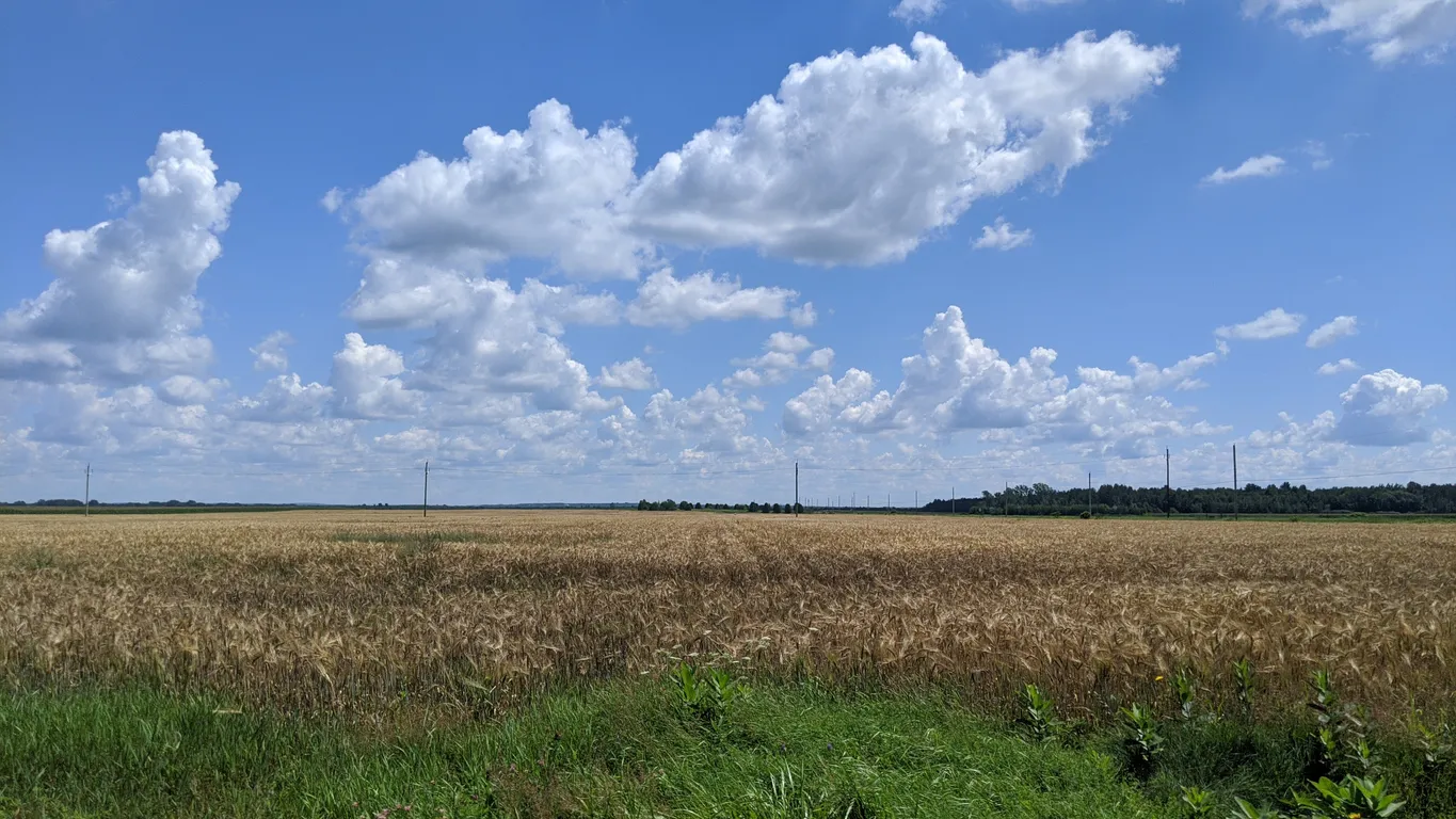 Paysage rural du centre du Québec que traverse le parc linéaire des Bois-Francs © iStock / Pierre-Olivier Valiquette