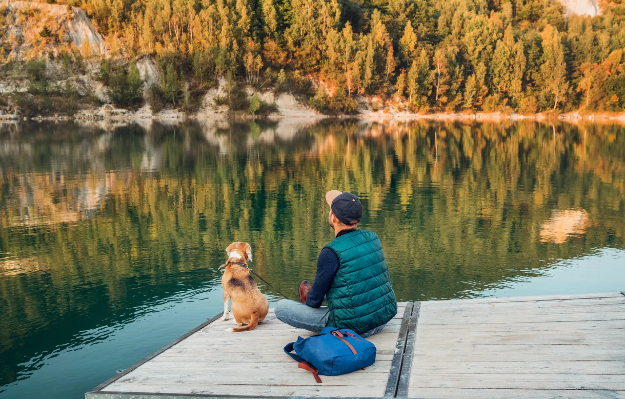 Promenade d'automne avec son chien
© iStock / Solovyova