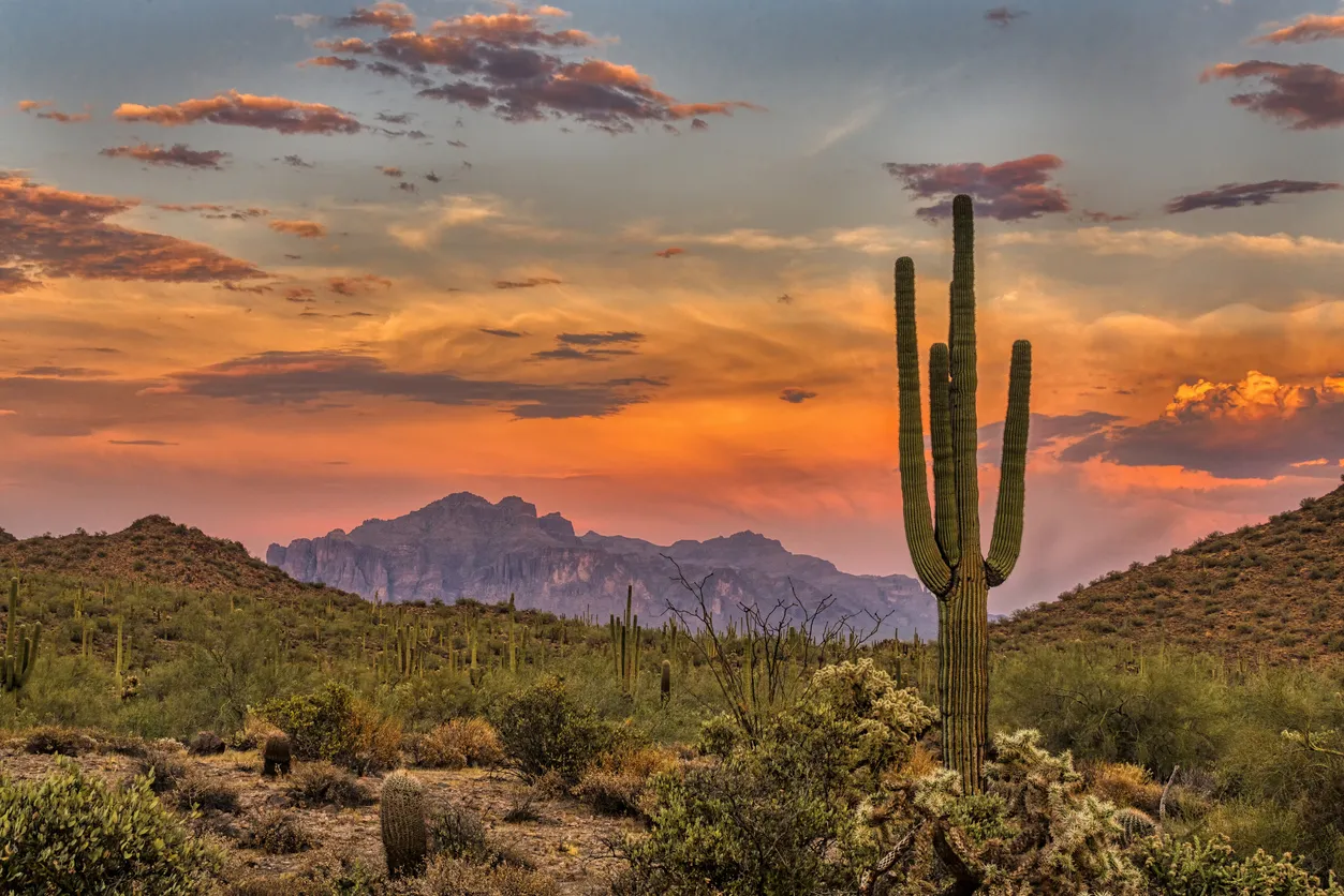 Le désert de Sonoran qui couvre une partie de l'Arizona et de la Californie, de même que les États mexicains de Sonora et Baja California, et dont plusieurs secteurs sont protégés © iStock / Brent_1