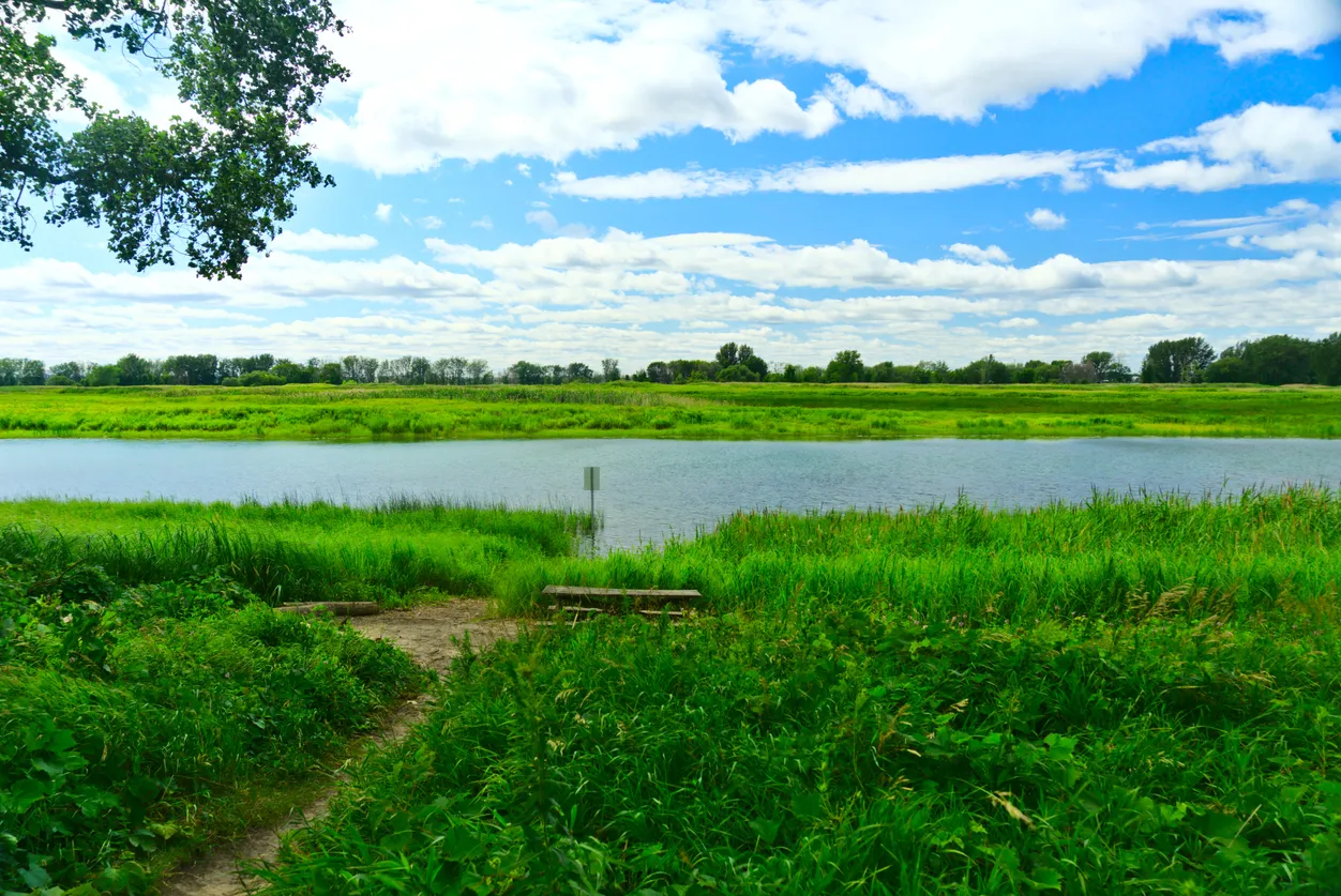 Les îles de Boucherville © iStock / Rania Mekky