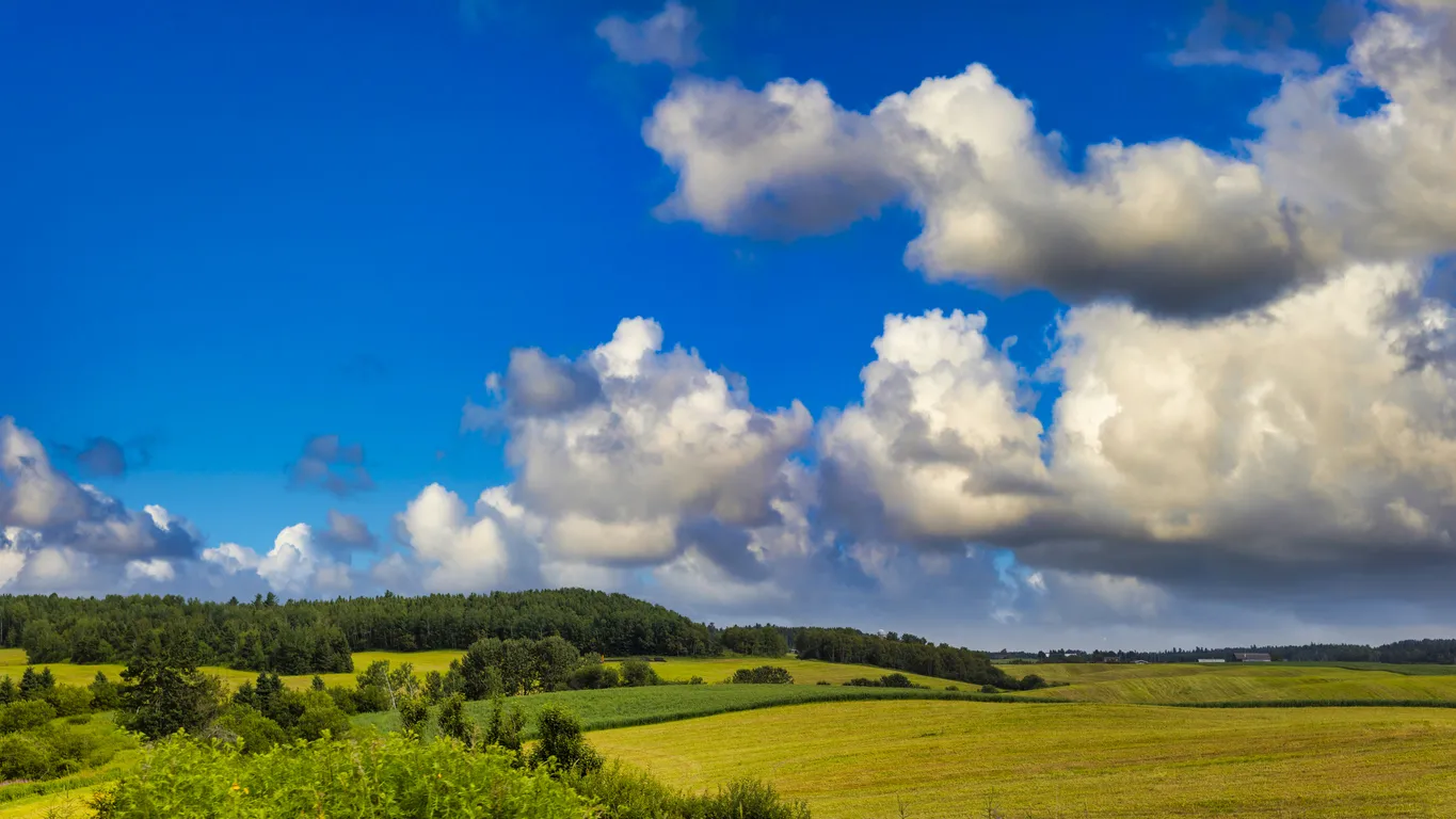 Dans la région du Saguenay–Lac-Saint-Jean  © iStock/ Instants
