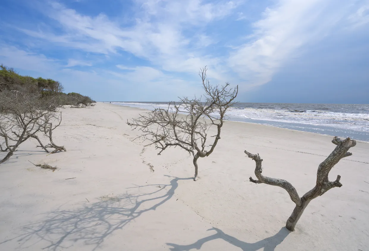 Plage de rêve sur la Jekyll Island (Georgie, États-Unis) - photo © iStock-MargaretW