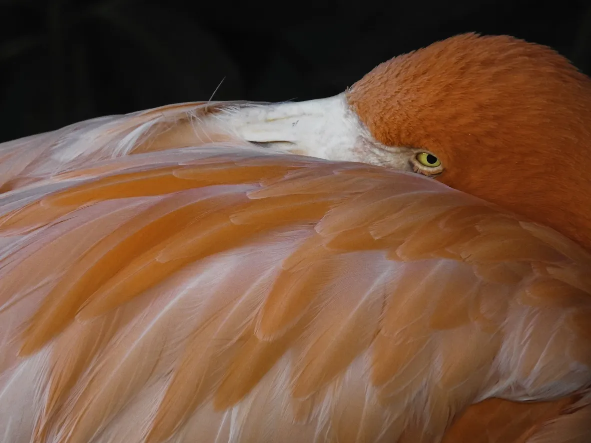  © iStock / Kirsty Nadine