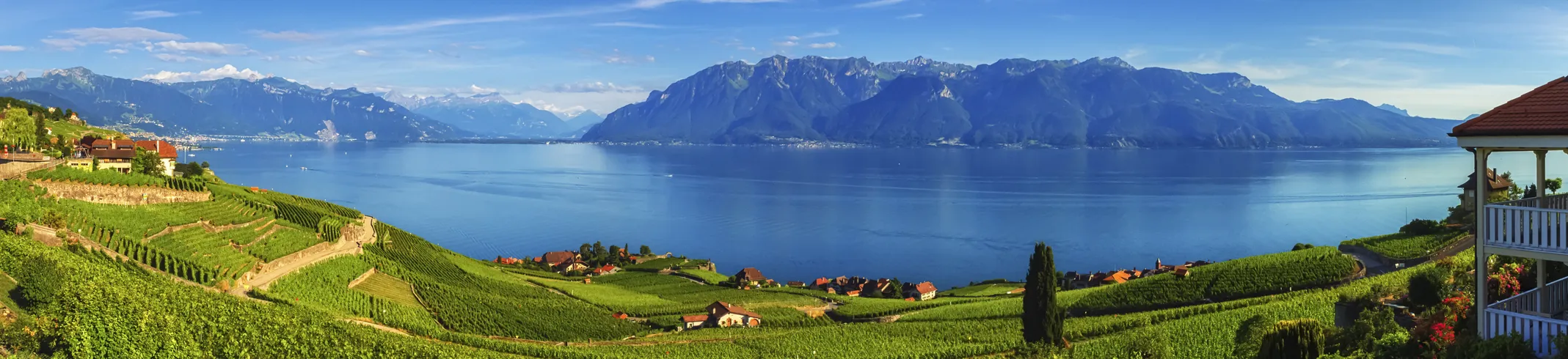 Lavaux une région viticole du canton de Vaud en Suisse. © iStock / lenarts108