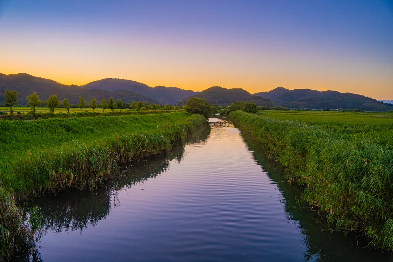 Le Parque Natural de la Albufera, Comunidad Valenciana, Espagne © iStock / Nyon