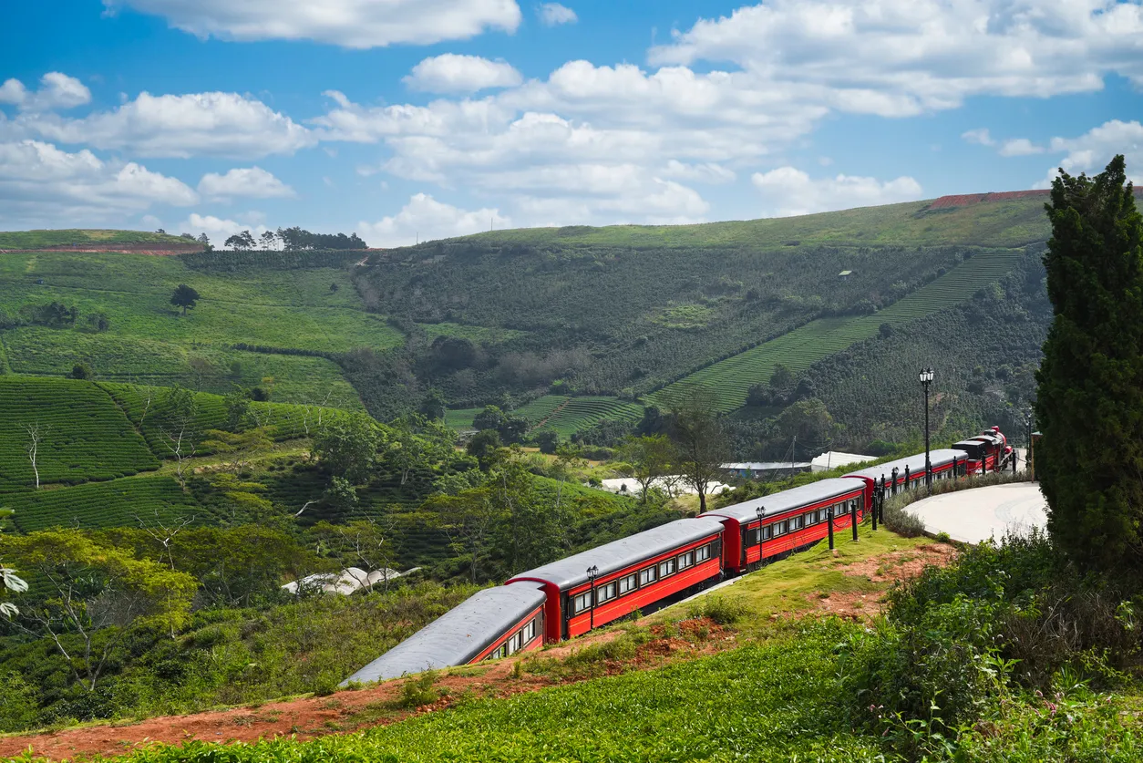 Un train traverse des plantations de thé près de Dalat au Vietnam © iStock / Tatiana Terekhina