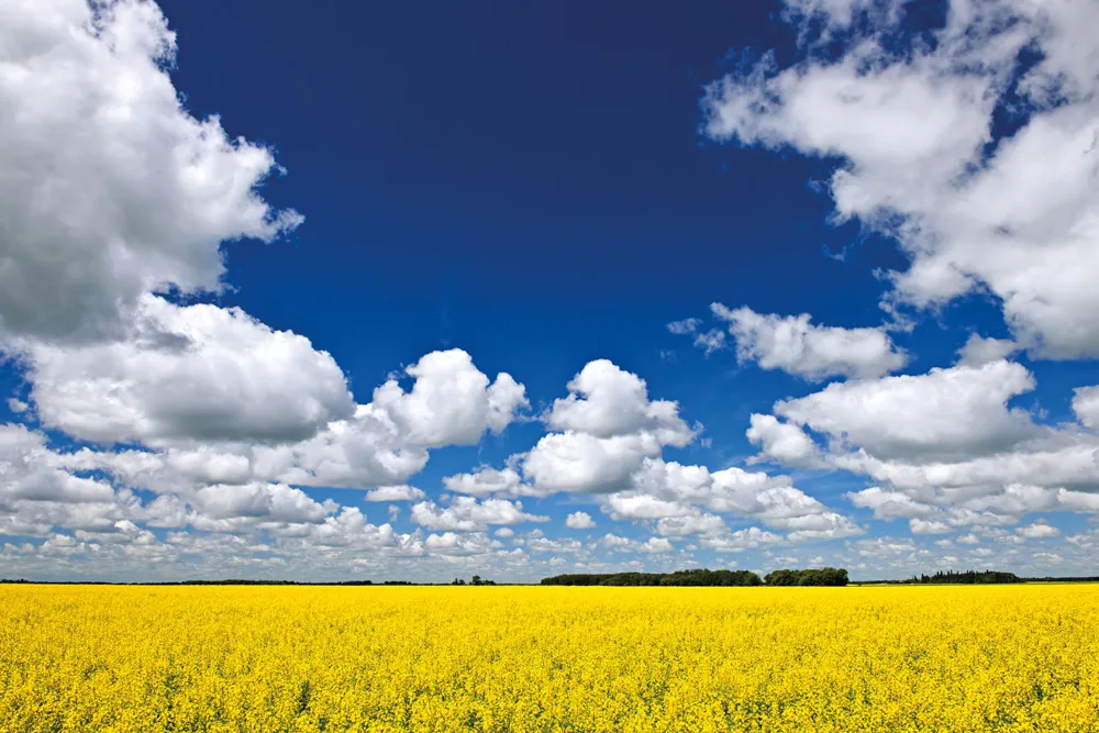 Manitoba. | © iStockphoto.com/Elenathewise