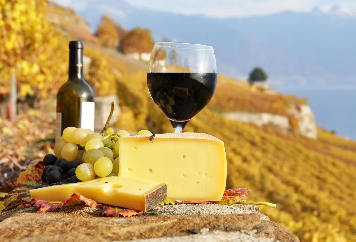 Parmi les spécialités vaudoises, vins rouges ou blanc et fromages suisses - photo © istock-astra490