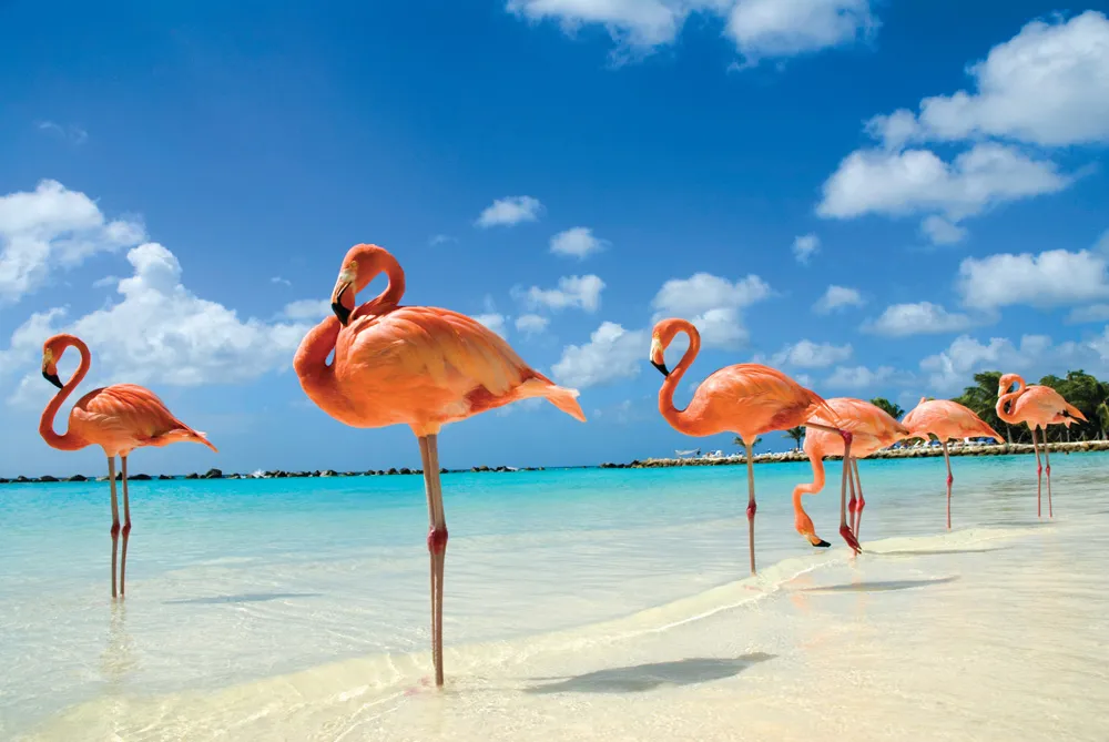 Rodgers Beach. | ©iStockphoto.com/VanWyckExpress