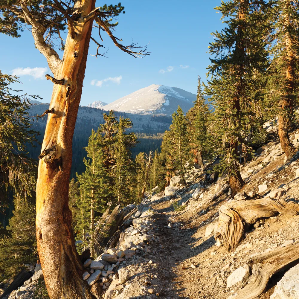 John Muir Trail ©iStock/PatrickPoendl 