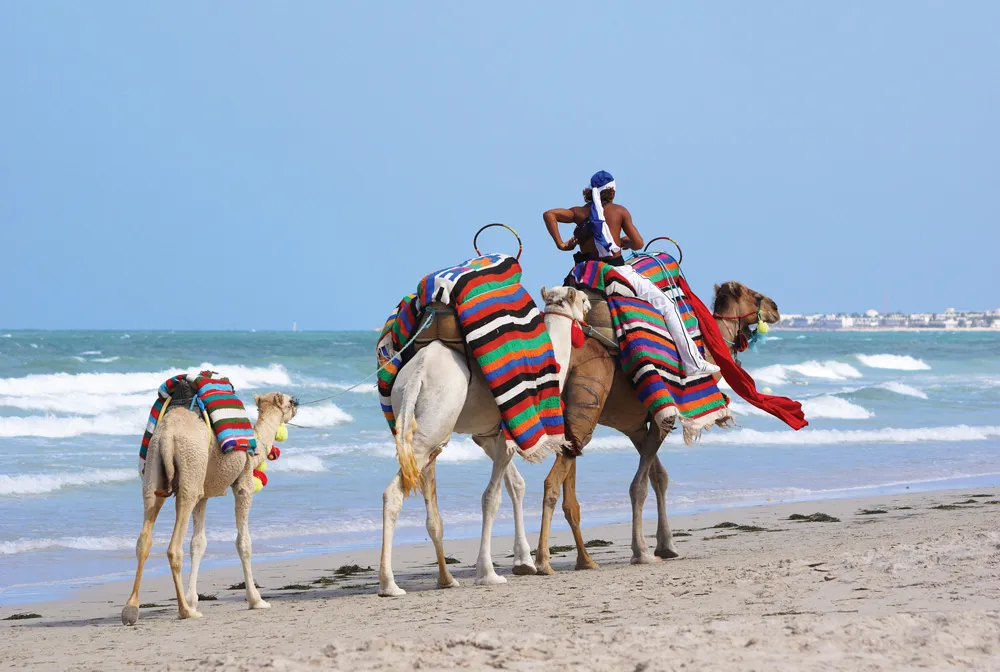 Plage, Djerba | © iStockphoto.com/ermingut