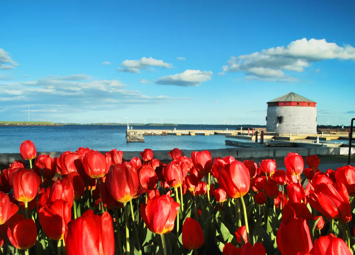 La tour Martello de la marina Flora MacDonald Confederation Basin, à Kingston, Ontario  © iStock / EricFerguson