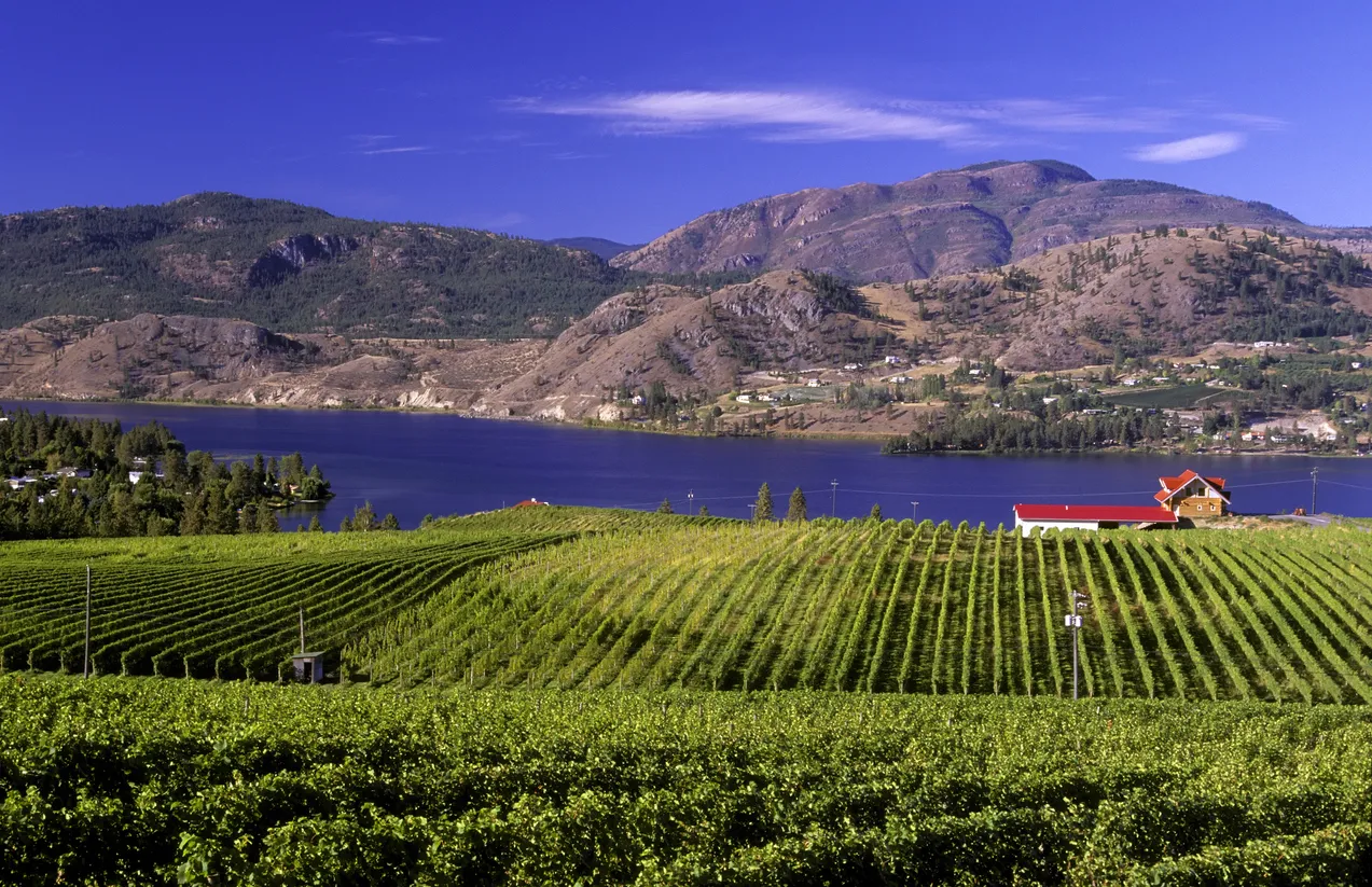 Vue sur le lac Skaha et ses vignobles - photo © iStock-laughingmango