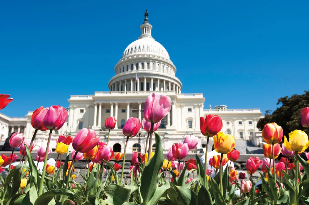 United States Capitol. | © iStockphoto.com/bentrussell.