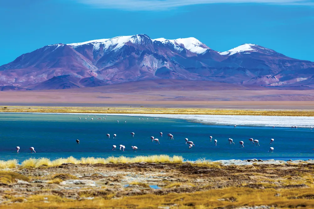 Désert d’Atacama ©iStockphoto / filipefrazao