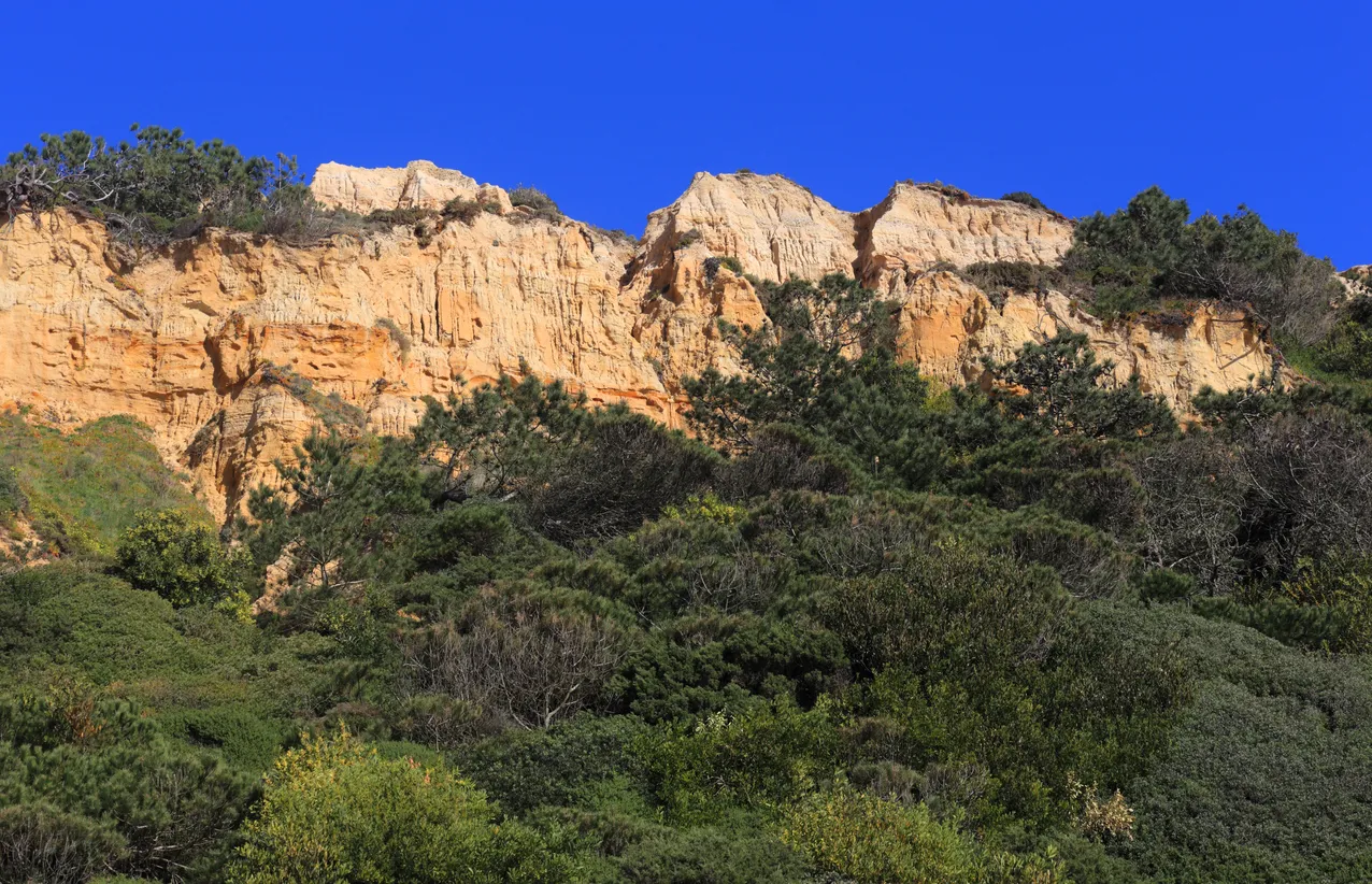 Le paysage protégé de la Costa da Caparica, près de Setúbal au Portugal © iStock / johncopland
