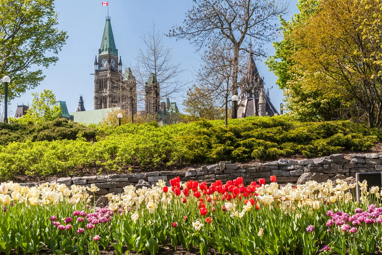 Festival des tulipes en mai à Ottawa  © iStock / MichelGuenette