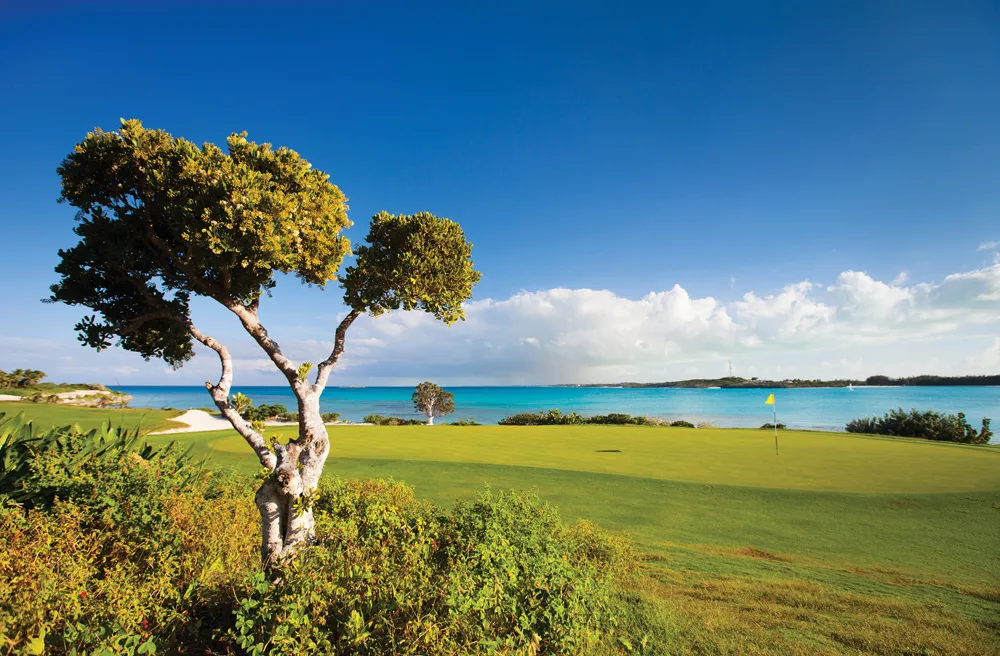 Terrain de golf | © iStockphoto.com/shalamov