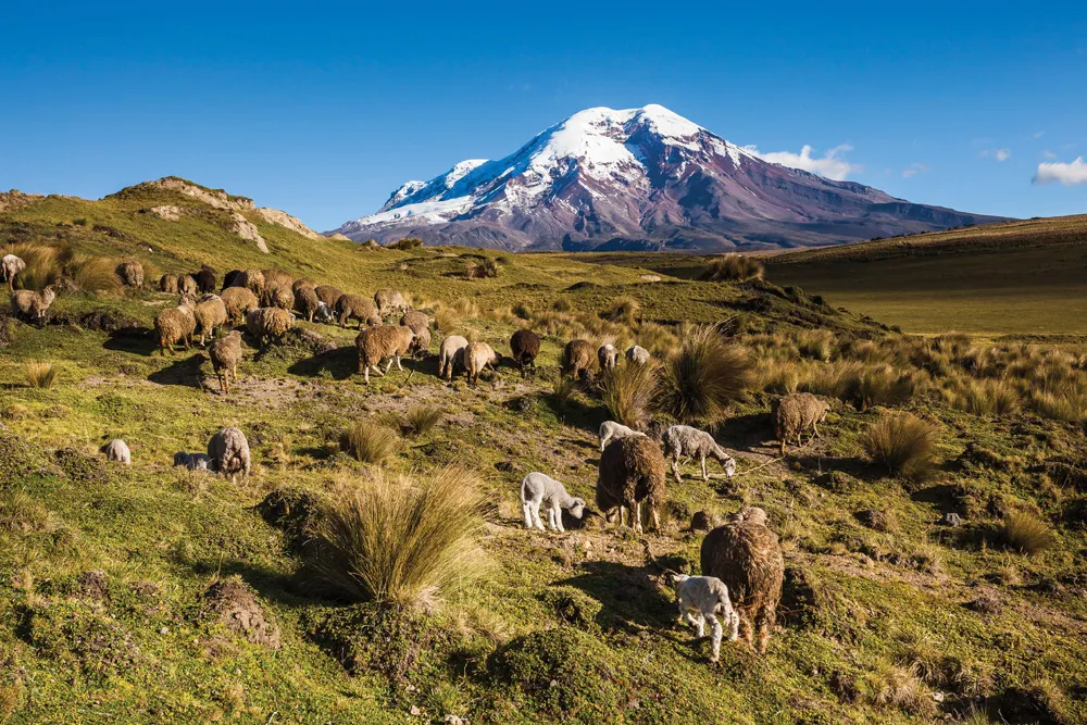 Volcan Chimborazo | © iStockphoto.com/PatricioHidalgoP