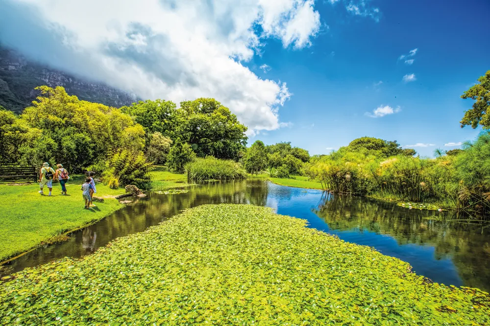 Kirstenbosch National Botanical Garden.
Crédit:	©iStockphoto.com/Diriye