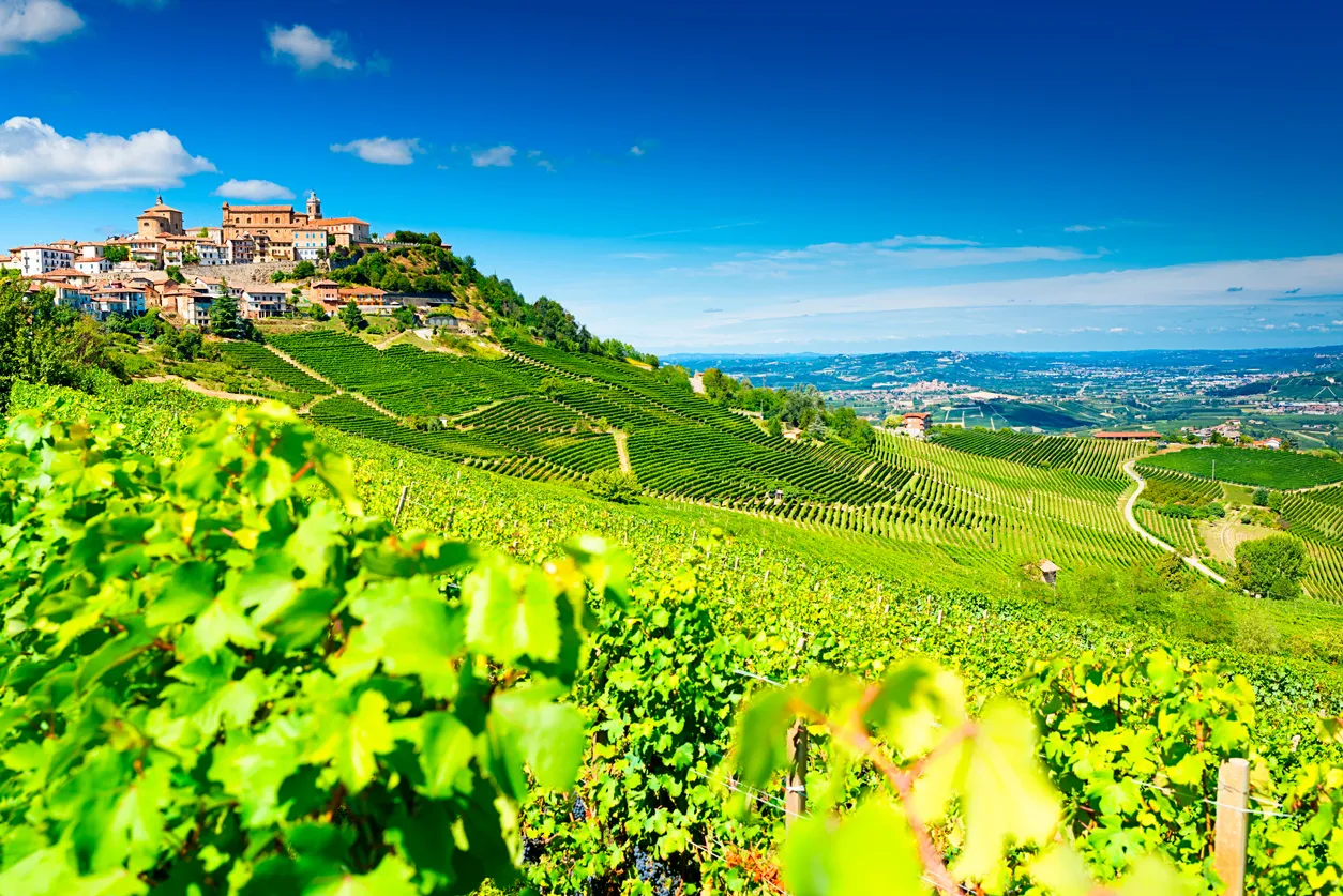 Vignobles Barolo (Piémont, Italie) - photo © iStock-LaraBelova