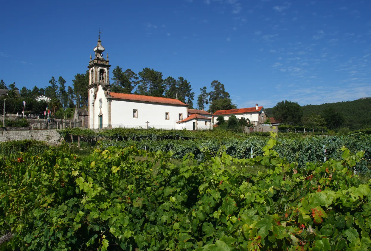 La petite église baroque de Moreira, Bouça, parmi les vignobles, dans la région du Minho au Portugal © iStock / johncopland