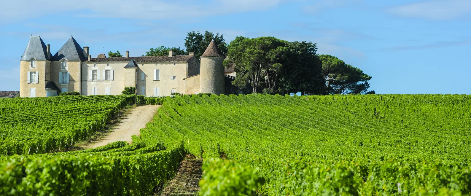 Le château d'Yquem dans le vignoble de Sauternes © iStock / Esperanza33
