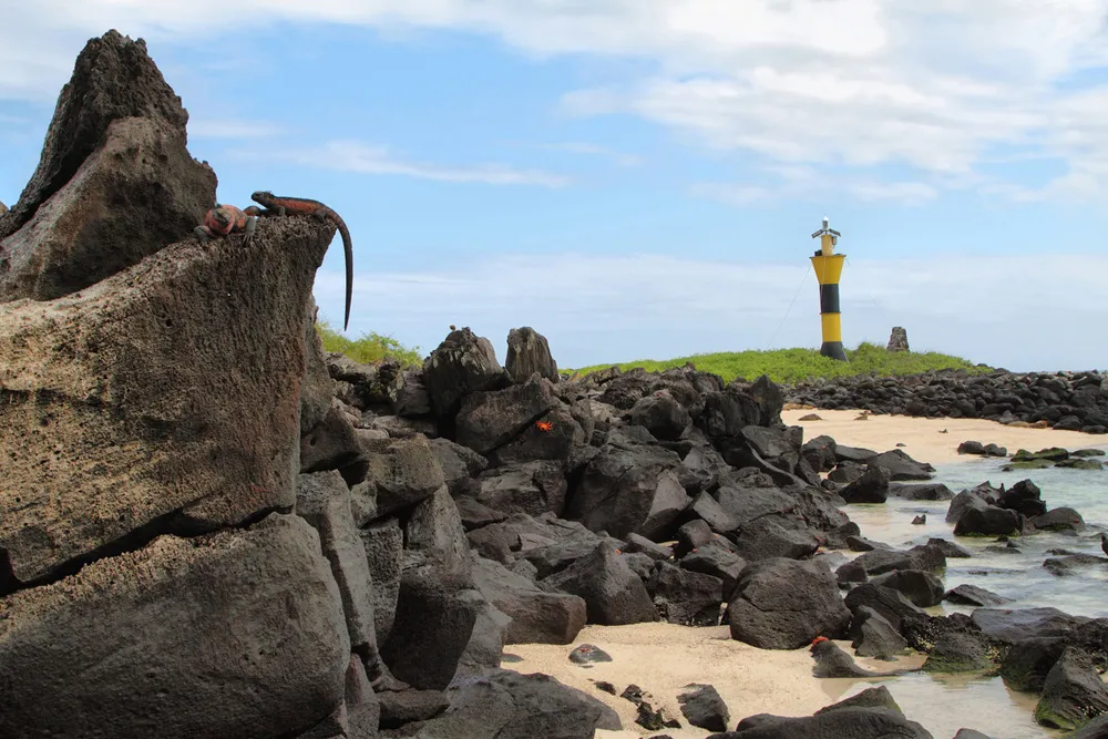 Phare de Punta Suárez, Isla Española, Galápagos | © estivillml