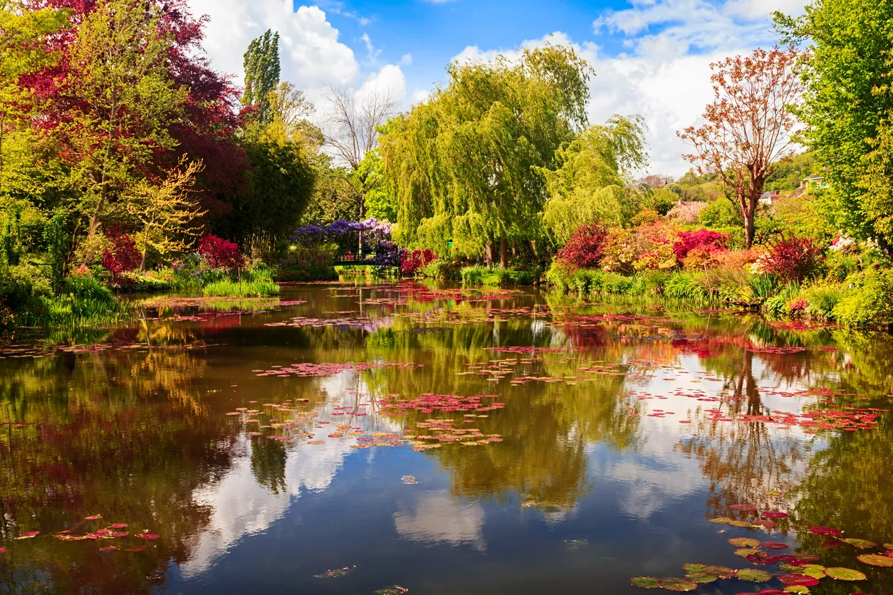 Un étang à Giverny © iStock / rusm