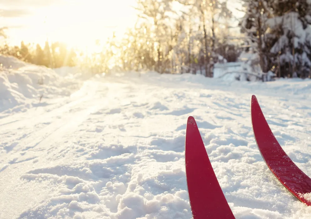 Ski de fond au parc-nature du Cap-Saint-Jacques, Montréal, Québec | © ROMAOSLO