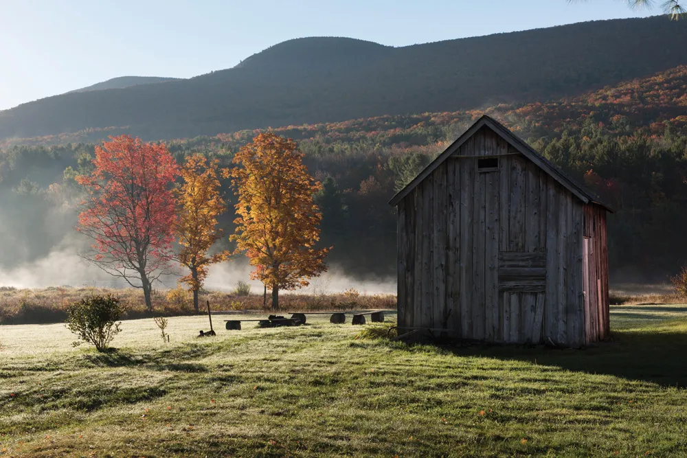 Paysage des Catskills | © iStockphoto.com/Brandt Bolding