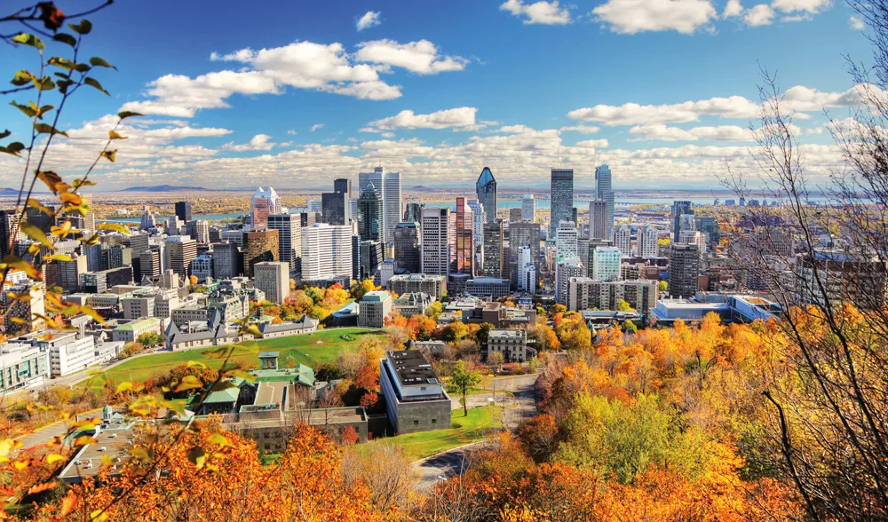 Vue du centre-ville de Montréal depuis le mont Royal. | © iStockphoto.com/buzbuzzer