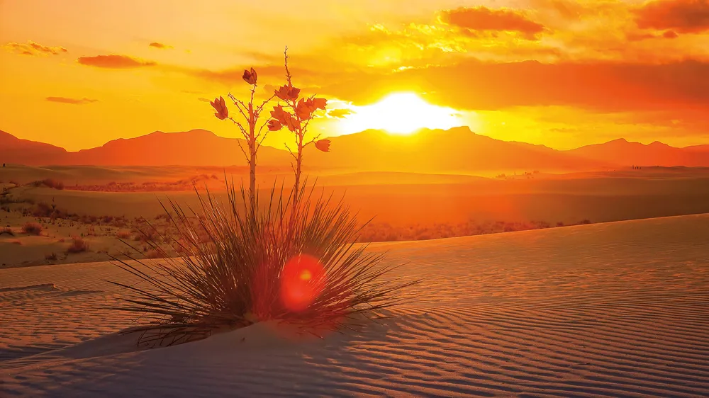 Coucher du soleil, White Sands National Park.
© iStockphoto / CrackerClips