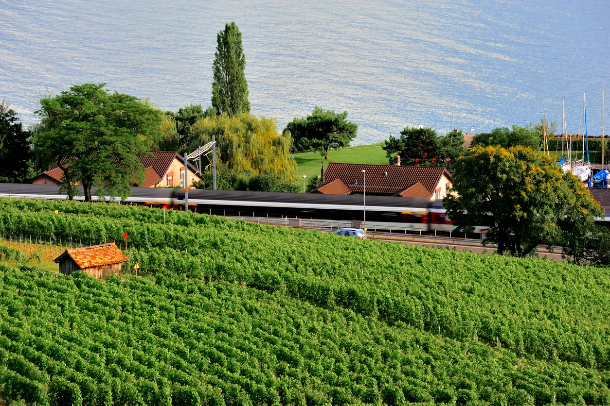 Un train traverse un vignoble dans le canton de Vaud © iStock/luxiangjian4711