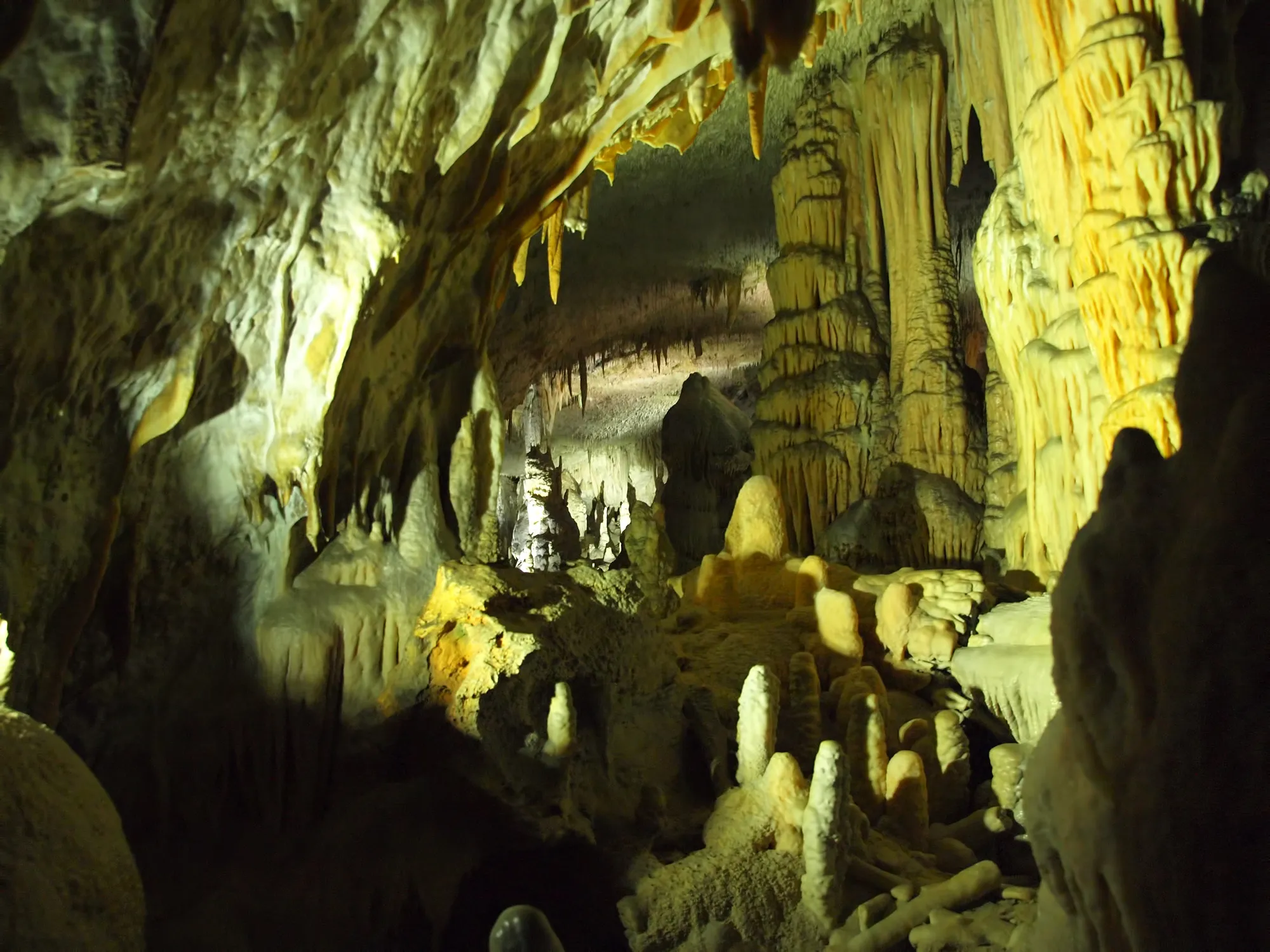 La grotte de Postojna
© iStock/GoranStimac
