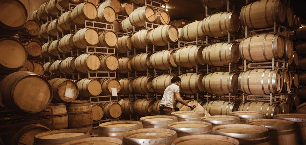 Une cave dans le Bordelais © iStockphoto.com/Jean-Bernard Nadeau