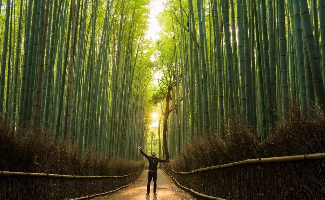 © iStock / stockstudioX