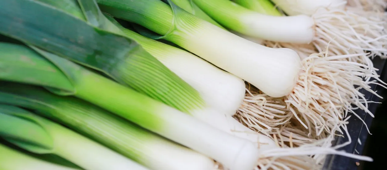 Poireaux © iStock/ irina88w