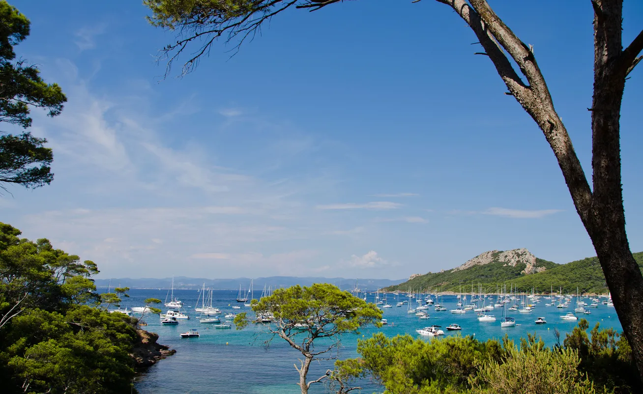 Porquerolles qui servit de décor au film Pierrot le Fou de Jean-Luc Godard © iStock / robixy79