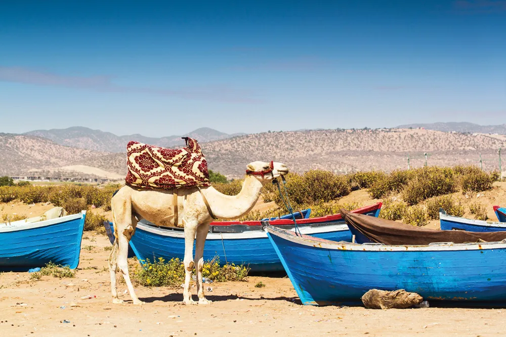 Plage d’Agadir | © iStockphoto.com/MarissBalodis