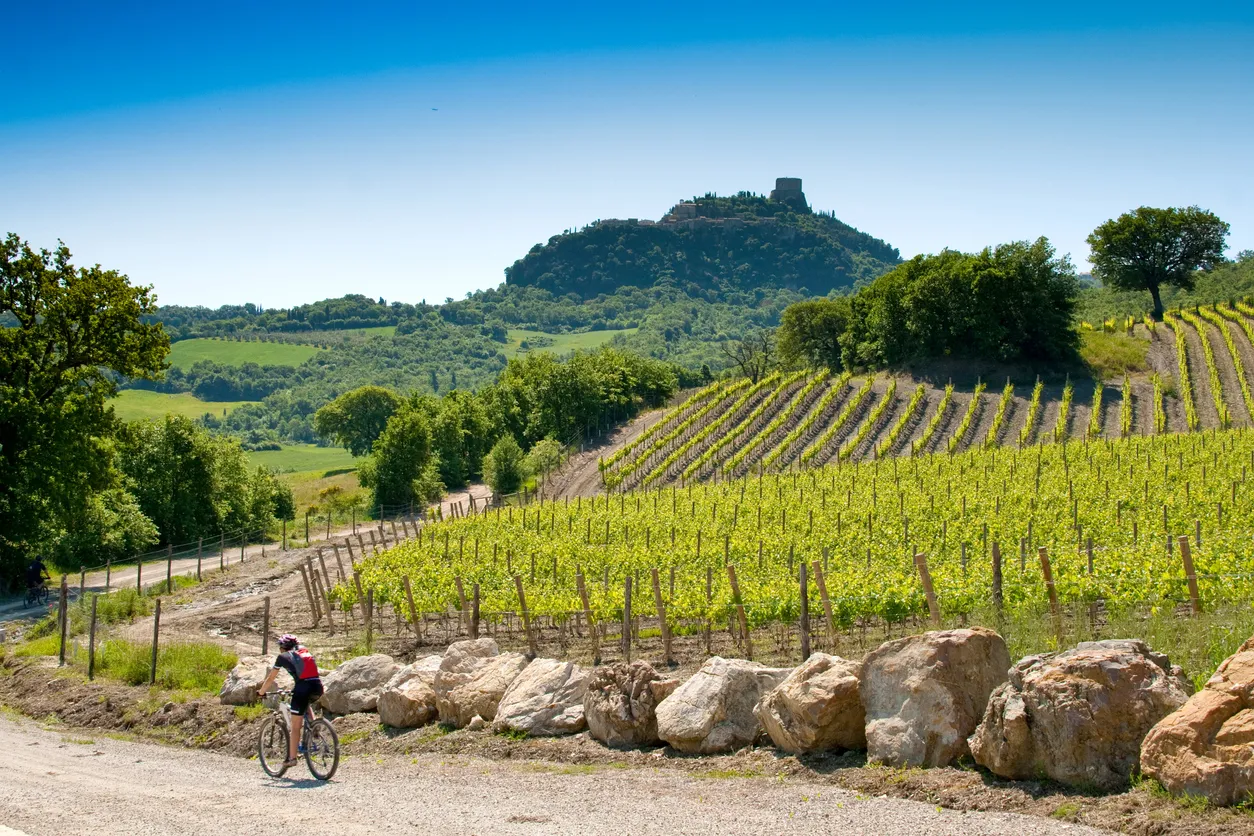 Val d'Orcia, près de Siena © (iStock/robertonencini